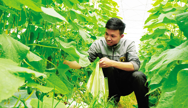 Thẩm chia sẻ: “ Khi mới bắt tay vào lập nghiệp em lo mình thất bại rồi tay trắng, bây giờ có kết quả tốt lại lo tìm đầu ra ổn định cho sản phẩm đầy tâm huyết của mình, chẳng biết bao giờ mới hết lo”.