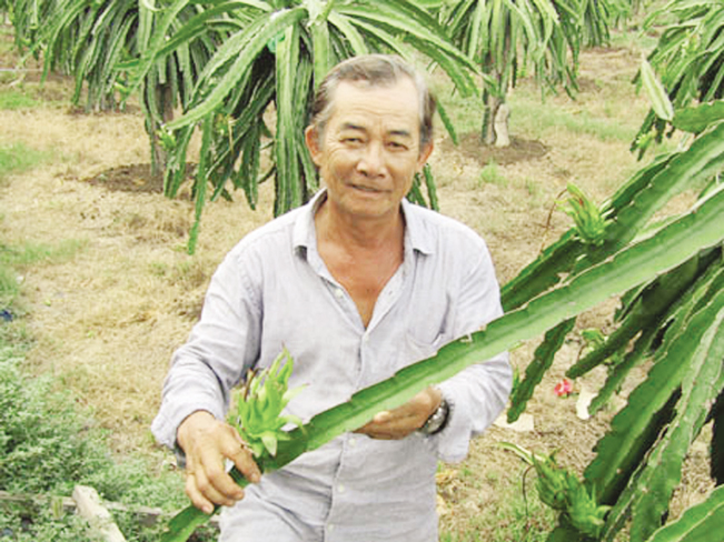 Ông Lê Hùng Dũng giới thiệu giống thanh long H14 trong vườn của mình.