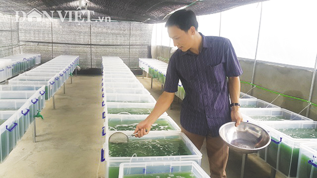 Thầy giáo Nguyễn Văn Biên đi kiểm tra tốc độ phát triển của tảo xoắn trong các bể nuôi ở khu nhà kính.P.Q