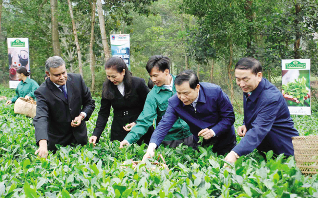 Bộ trưởng Nguyễn Xuân Cường thăm vùng chè Thái Nguyên.