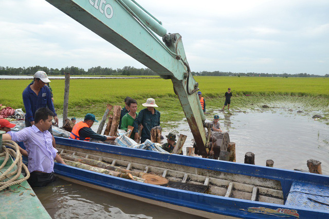 Trên cánh đồng nằm ngoài đê bao, người dân và chính quyền địa phương đang nổ lực gia cố đê bao, bảo vệ hơn 2.000 ha lúa còn lại.