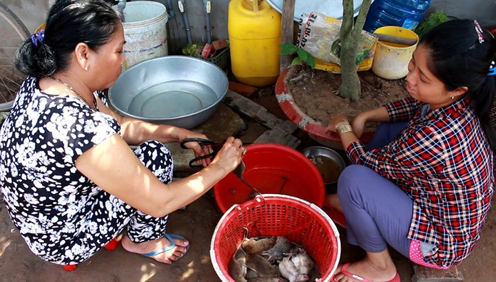 Thời điểm mùa nước lũ, thịt chuột đồng ăn thơm ngon, béo ngậy.