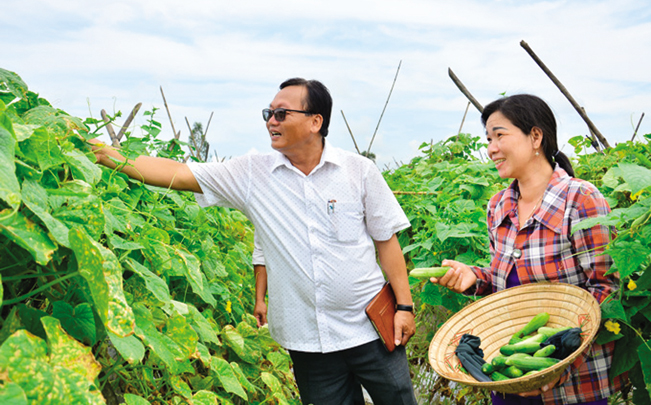 Chị Nguyễn Thị Thắm giới thiệu mô hình trồng dưa leo của gia đình. NQ