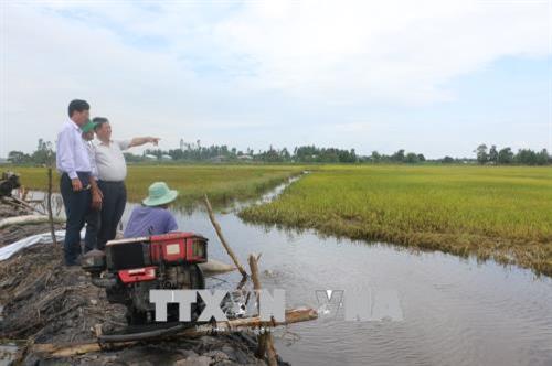 Các ngành chức năng kiểm tra vùng ngập lũ tại huyện Tân Hưng. Ảnh: Thanh Bình-TTXVN