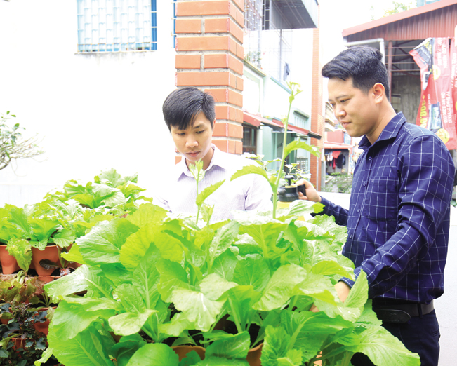 Anh Cảnh (áo đen) chăm sóc các tháp trồng rau hữu cơ tại một gia đình ở Hà Nội.