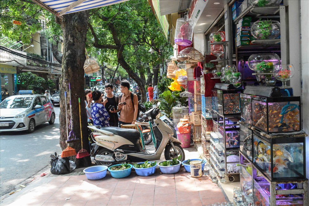 Nhiều người bán hàng lý giải, những ngày này chim và cá bán chạy vì nhiều gia đình làm mâm cỗ cúng chúng sinh, phóng sinh...