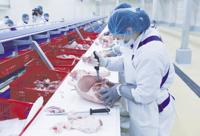 Công nhân pha lóc thịt lợn tại Tổ hợp chế biến thịt MNS Meat Hà Nam.