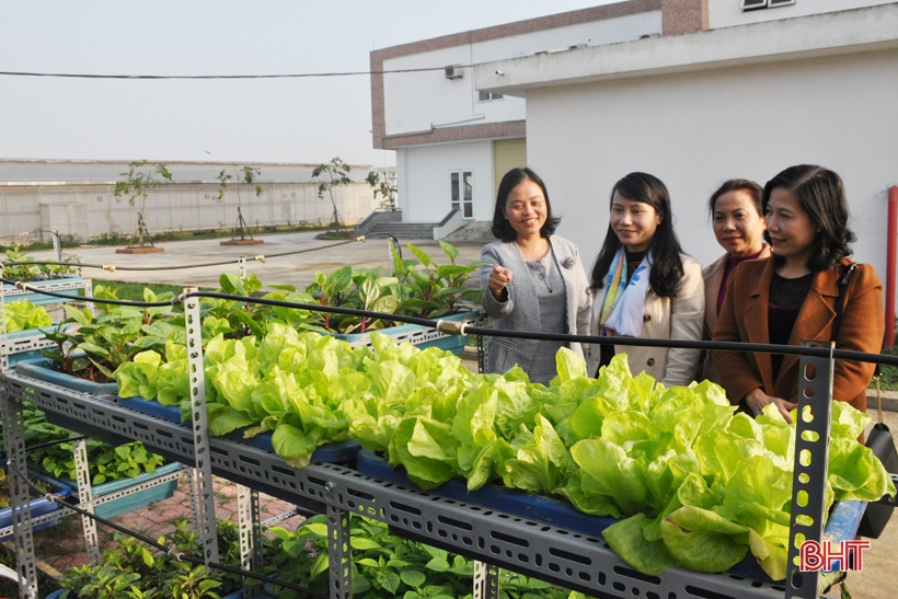 Trung tâm ứng dụng tiến bộ KH&CN Hà Tĩnh đã nắm vững và vận hành thành thạo quy trình sản xuất giá thể trồng rau sạch thương phẩm...