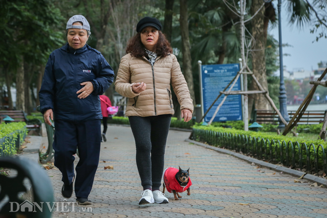 Trời có gió rét, người dân ra đường phải khoác nhiều lớp áo dày, đội mũ, quàng khăn kín cổ... Những chú cún cưng cũng được chủ mặc cho một chiếc áo nhỏ.