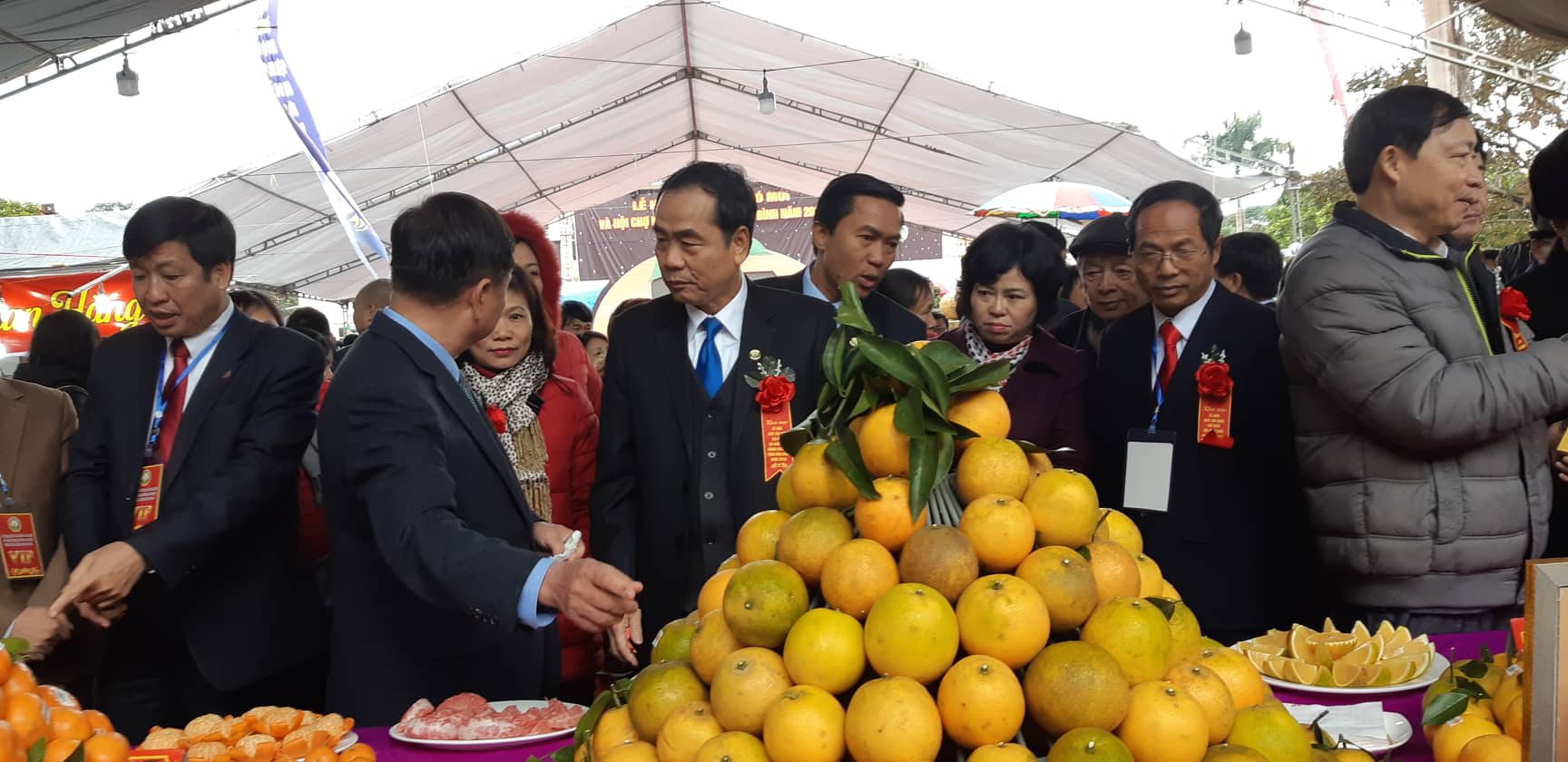 78.000 tấn cam treo trên cây, dân Cao Phong sắp hái tiền tỷ - Ảnh 2.