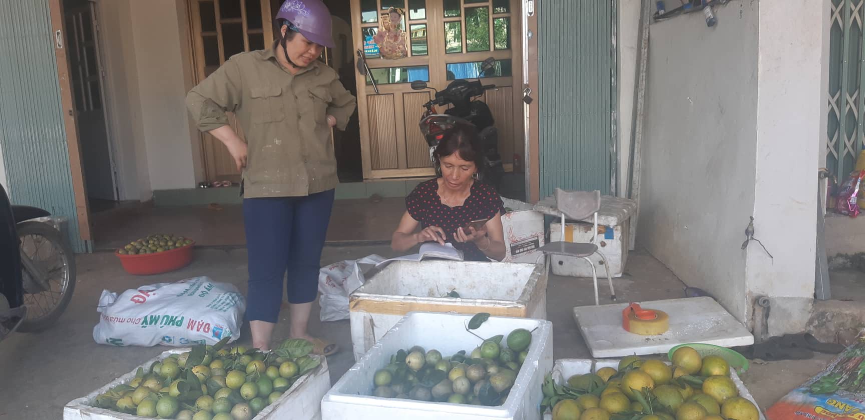 78.000 tấn cam treo trên cây, dân Cao Phong sắp hái tiền tỷ - Ảnh 4.