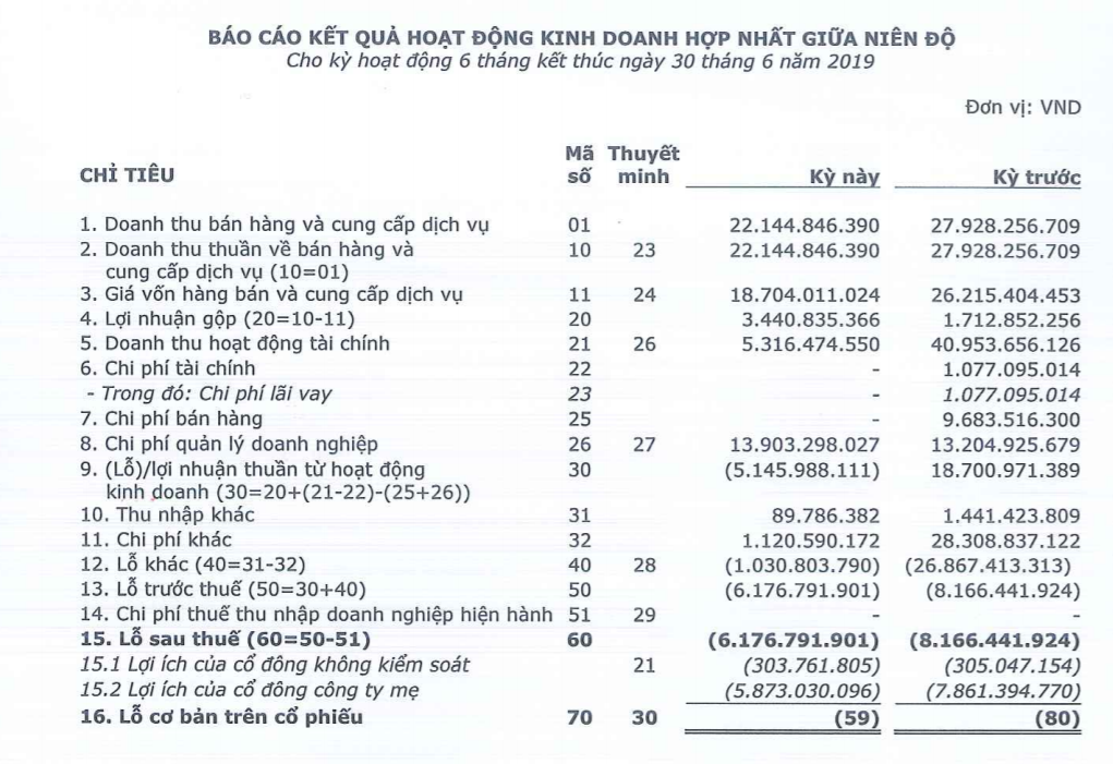 Petroland thời ông Bùi Minh Chính: Bán đất, nhượng cổ phần vẫn lỗ trăm tỷ - Ảnh 2.