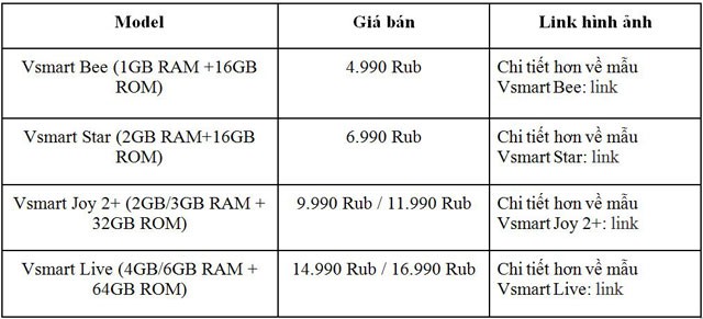 VinSmart ra mắt tại thị trường Nga - Ảnh 5.