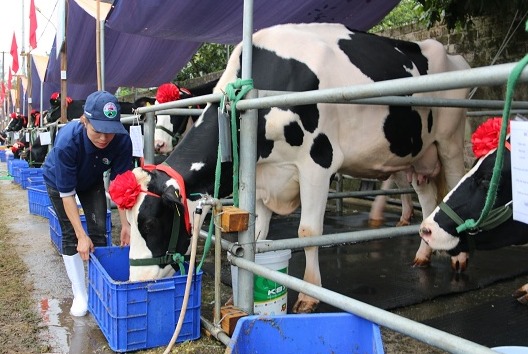 Mộc Châu Milk tạo chất lượng sữa tốt đến người tiêu dùng