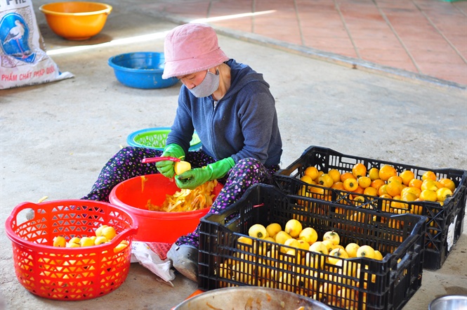 Nhờ công nghệ sấy gió Nhật Bản, người trồng hồng ở Đà Lạt tạo ra sản phẩm đặc trưng, có giá trị kinh tế cao.