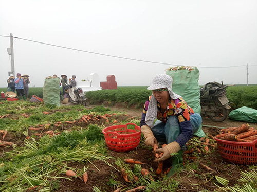 “Cầu nối” giúp nông dân mua phân bón tốt, 6 tháng mới phải trả tiền - Ảnh 1.