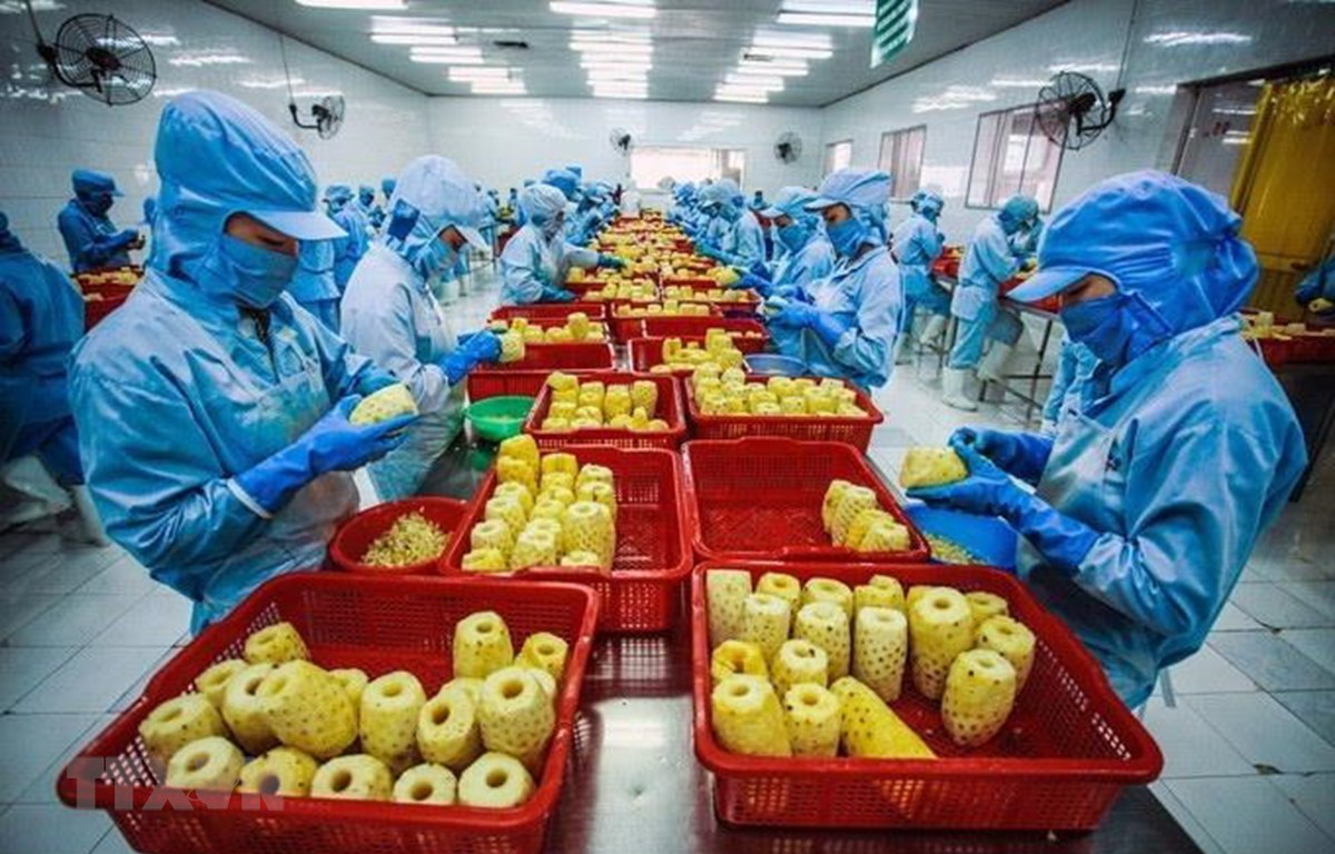 Áp dụng HACCP trong chế biến nông sản, thực phẩm: Tại sao nói HACCP là tiêu chuẩn quốc tế? - Ảnh 2.