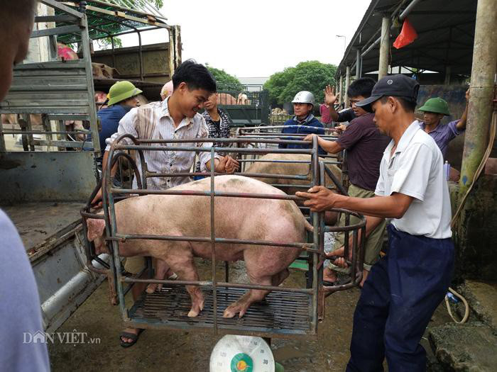 Giá heo hơi hôm nay 20/10: Biên giới 78.000 đ/kg, miền Nam tăng cao - Ảnh 2.