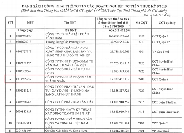 TPHCM công bố loạt đại gia bất động sản nợ thuế - Ảnh 1.