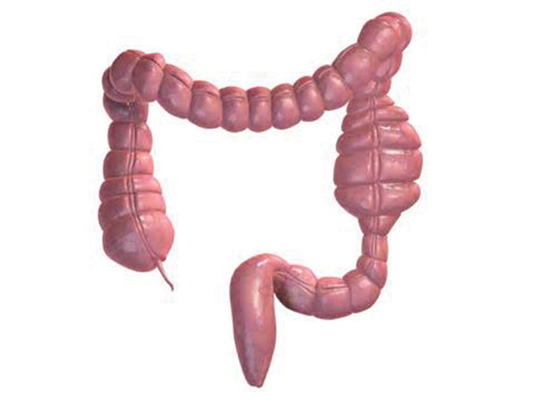 Chuối xanh: Món ăn kiêm dược liệu - Ảnh 2.