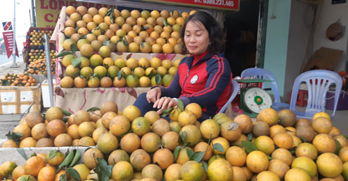 Người trồng cam, bưởi nếm... “trái đắng”, khắp nơi giá giảm - Ảnh 1.