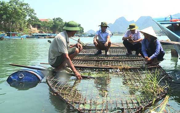 Đặc sản cá trắm nuôi lồng ở Phong Nha - Ảnh 1.