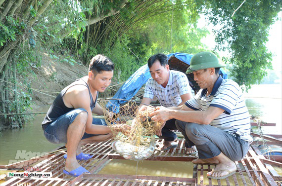 Những làng cá khấm khá nhờ sông  - Ảnh 1.