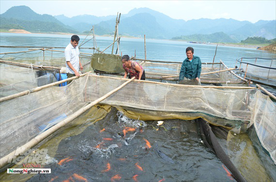 Những làng cá khấm khá nhờ sông  - Ảnh 2.