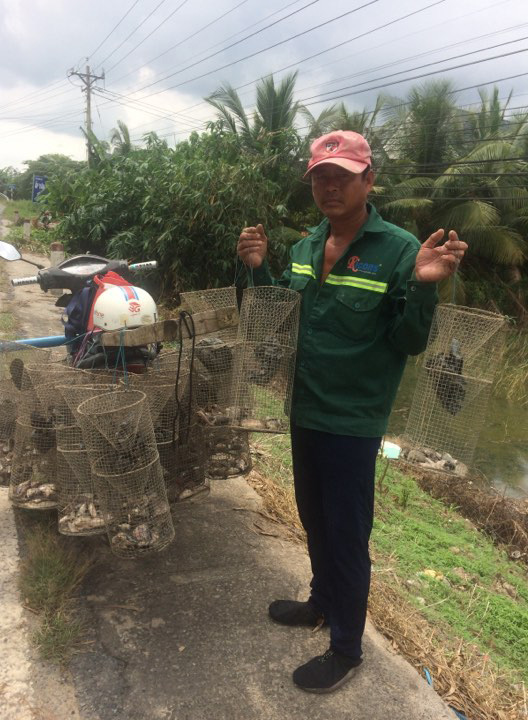 Nông dân kiếm bộn tiền nhờ đặt lọp chì bắt ếch đồng - Đài Phát thanh và Truyền hình Đồng Tháp - Ảnh 1.