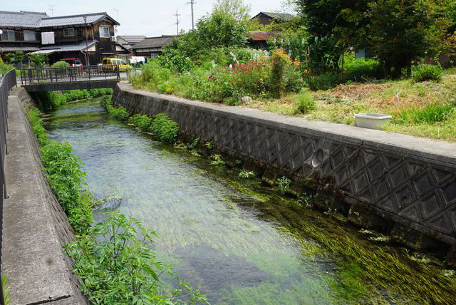 Ngôi làng có nước trong và sạch đến mức người dân rửa bát, vo gạo nấu cơm ngay ở kênh mương nuôi cá