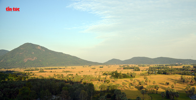 An Giang đẹp ngỡ ngàng mùa lúa chín - Ảnh 1.