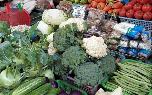 Nguồn cung dồi dào, sức tiêu thụ chậm khiến giá rau xanh sau tết không có nhiều biến động.