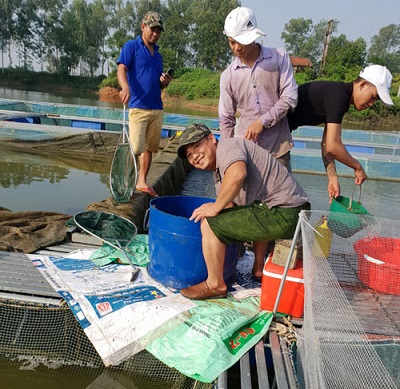 Anh Dương Việt Anh (ngồi) cùng công nhân phân loại và kiểm tra tình trạng của cá nuôi. Ảnh: H.H