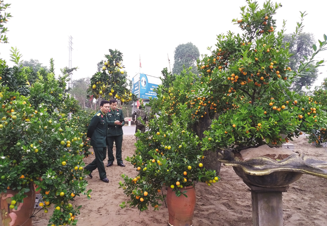 Đến nay sản phẩm của anh Hoàn đã nổi tiếng và được khách hàng khắp nơi biết đến, đặt hàng.