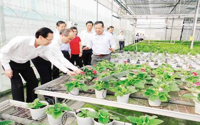 TP.HCM hỗ trợ tối đa 300 triệu đồng cho một dự án khởi nghiệp. Trong ảnh: Bí thư Thành ủy Nguyễn Thiện Nhân thăm mô hình nông nghiệp công nghệ cao.
