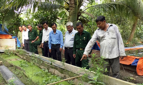 Hội viên cựu chiến binh huyện Cai Lậy và xã Mỹ Thành Nam tham quan mô hình nuôi lươn sinh sản không bùn của ông Đặng Văn Hai.