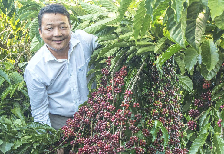 Nhiều nơi nông dân đã làm giàu được nhờ mô hình sản xuất nông nghiệp hữu cơ.