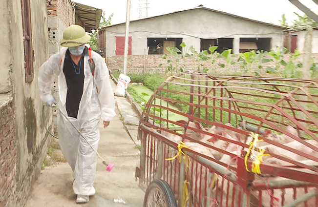 Chủ trang trại ở Hưng Yên thực hiện tiêu độc khử trùng chuồng trại. TTXVN