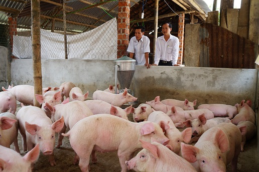 Nhiều mô hình, trang trại tiền tỷ mọc lên giúp cuộc sống người dân khấm khá hơn.