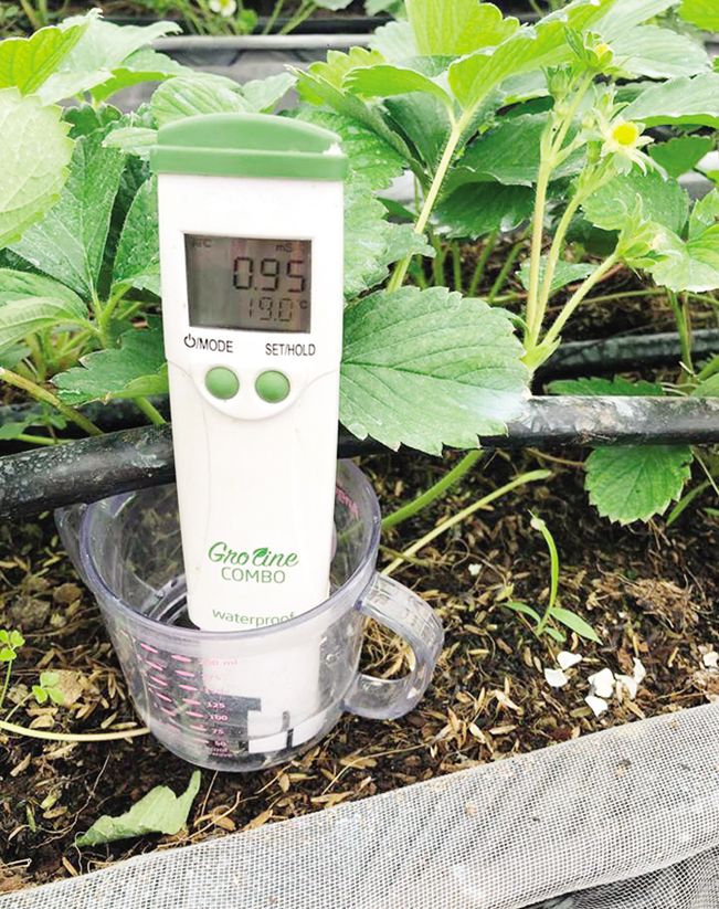 Trà dùng các thiết bị điện tử hiện đại để đo dinh dưỡng đất và nước nhằm đảm bảo chế độ chăm sóc phù hợp cho cây trồng.