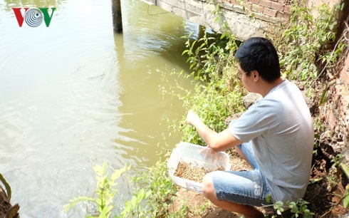 Trần Thanh Nghị đang ấp ủ kỳ vọng tìm chỗ đứng cho nghề nuôi cá cảnh Việt trên thị trường quốc tế