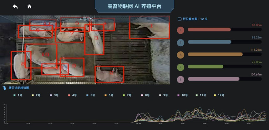 Yingzi Technology dùng video để thu hình ảnh mặt lợn vì chúng di chuyển liên tục. Ảnh: Yingzi Technology.