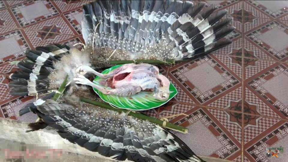 Theo clip, con chim đã bị chết trước khi làm thịt. Ảnh cắt từ clip.
