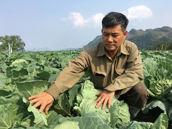 Không chỉ làm kinh tế giỏi, ông Dũng còn tạo công ăn việc làm cho 3 công nhân ở địa phương.