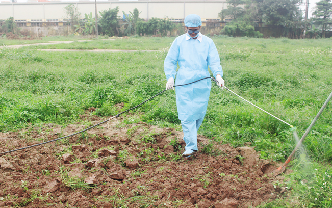 Sau khi chôn, các học viên tiến hành phun tiêu độc, khử trùng khu vực chôn lợn bị dịch.