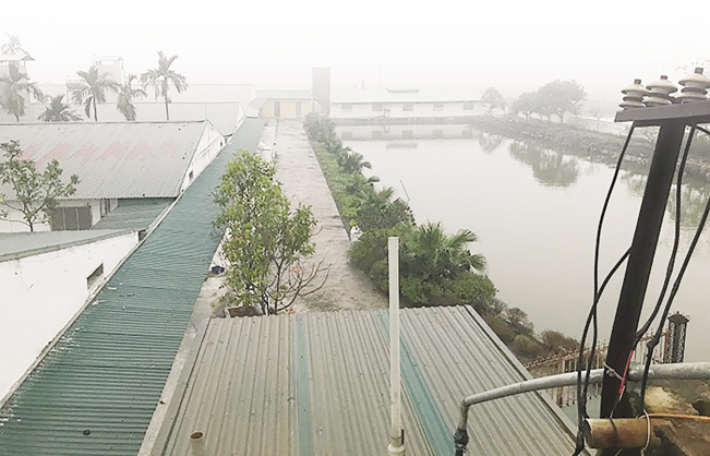 Trang trại chăn nuôi lợn của HTX Hoàng Long đang trở thành điểm sáng chăn nuôi của Thủ đô.