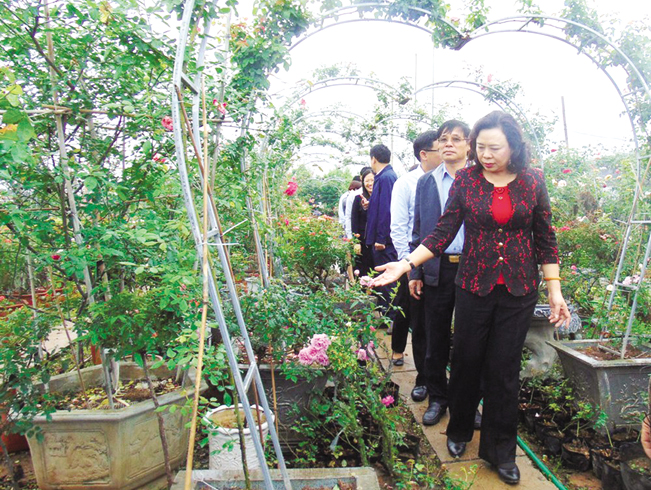 Phó Bí thư Thường trực Thành ủy TP.Hà Nội thăm mô hình trồng hoa hồng ở huyện Mê Linh. T.L
