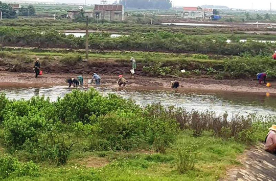 Khu vực đầm gia đình anh Trần Văn Trưởng thả ngao được chính quyền 