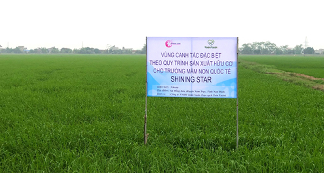 Vùng canh tác theo quy trình sản xuất hữu cơ cho Trường Mầm non Quốc tế Shining Star.
