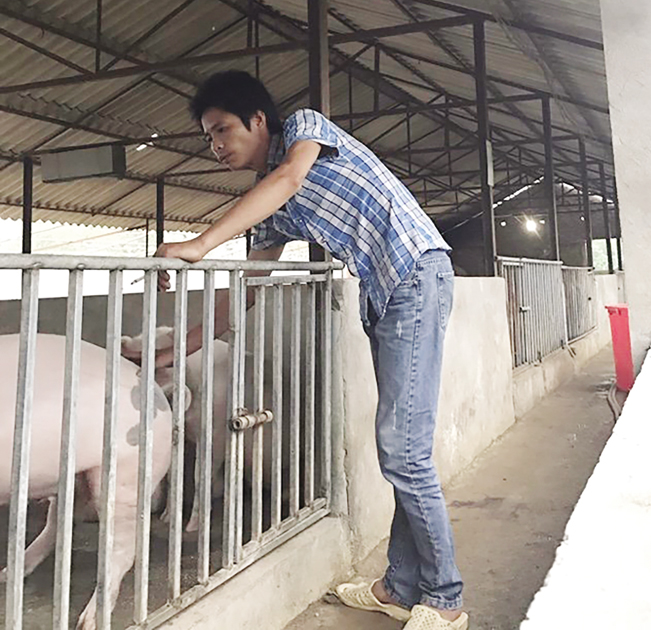 Anh Hà bên trang trại chăn nuôi lợn của mình ở Hà Nội.